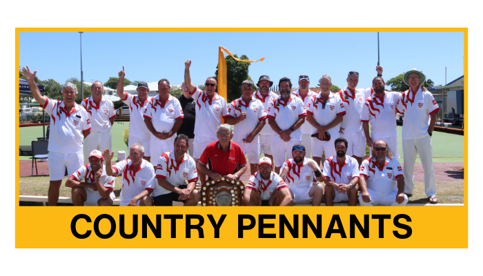 Country Pennants Button